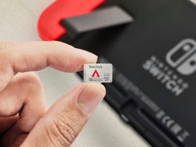 Apex LegendsץǥSwitchmicro SDXCɤо